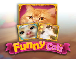 Funny Cats