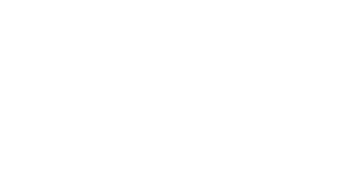 Double Star Casino Logo