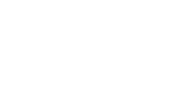 Double Star Casino Logo