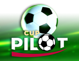 Pilot Cup