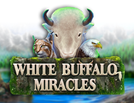White Buffalo Miracles